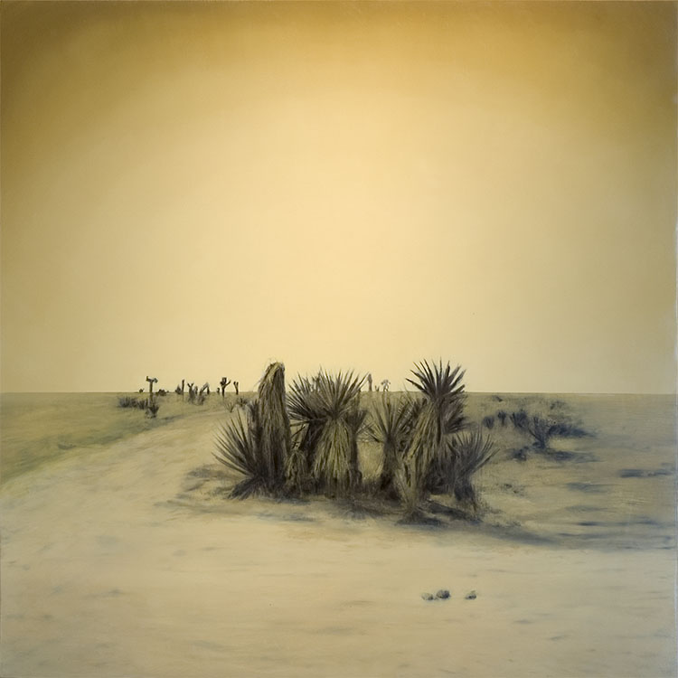 MOLL_desert_road_EMAIL